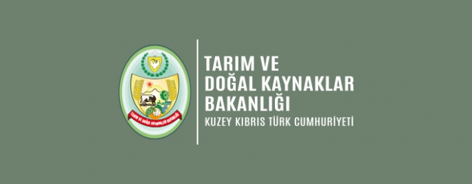  2024 Yılı Küçükbaş Hayvan Başı Desteklerinin II. taksit ödemesi yapılıyor