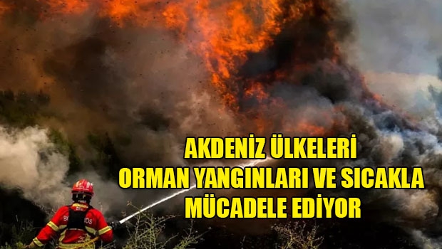 Akdeniz ülkelerinde orman yangınları yayılıyor, tahliyeler artıyor