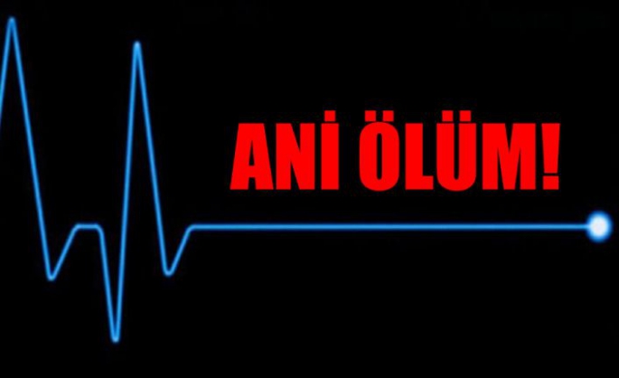 Ani ölüm 