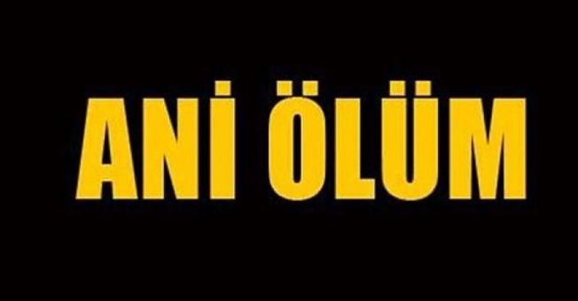 Ani ölüm 