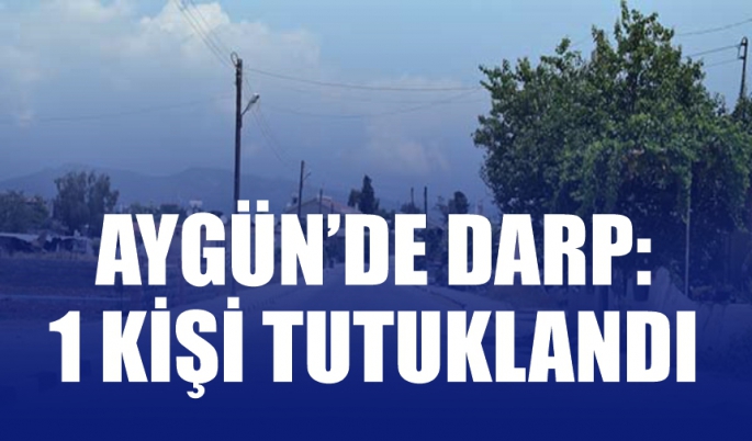 Aygün’de ev basıp, ev sakinini darp eden iki kişi tutuklandı