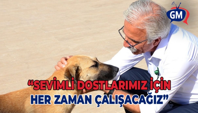 Bican: Sevimli dostlarımız için her zaman çalışacağız