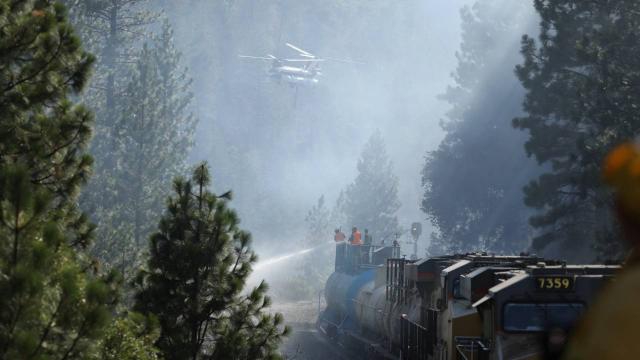 California'da orman yangınları sürüyor