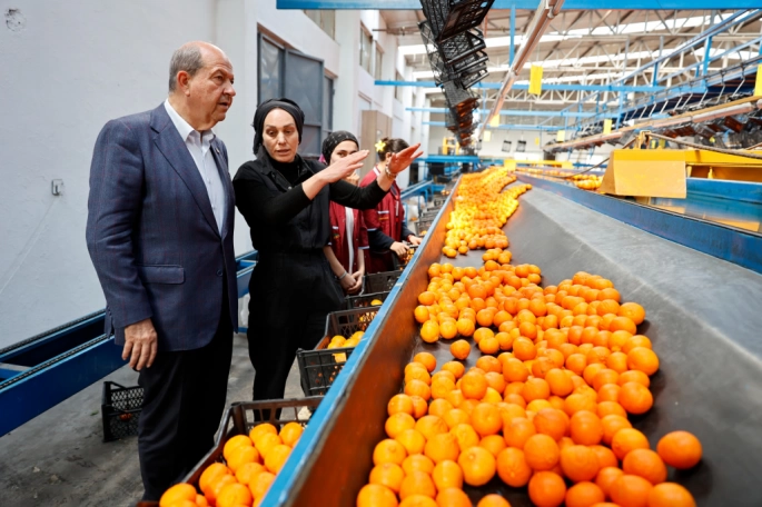 Cumhurbaşkanı Tatar, Güzelyurt Bölgesi’nde narenciye paketleme tesislerini ziyaret etti