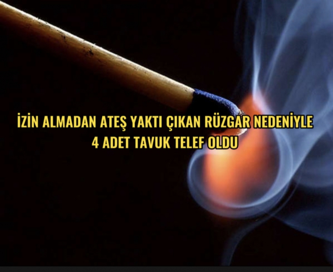 Dikmen’de yakılan ateş sonrası 4 hayvan telef oldu 