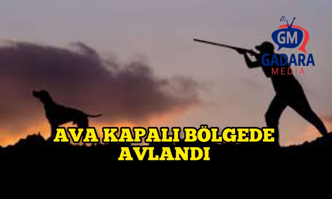 Dipkarpaz’da Ayfilo Mevkiinde, ava kapalı bölgede avlanan kişiye yasal işlem yapıldı 