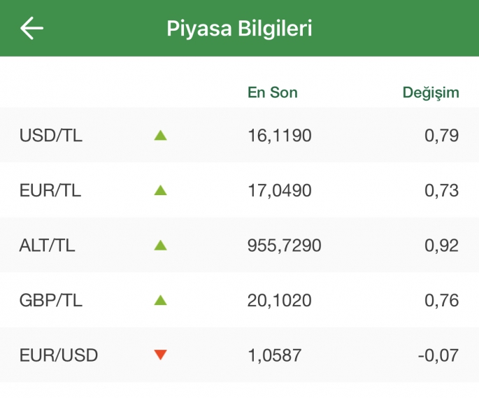 Dövizde son durum !!! 