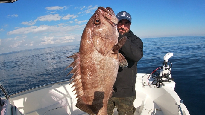 Erkan Bahçeci ve Arda Kansay’ın bereketli avı 32 kg  Epinephelus Caninus balığı yakaladılar 