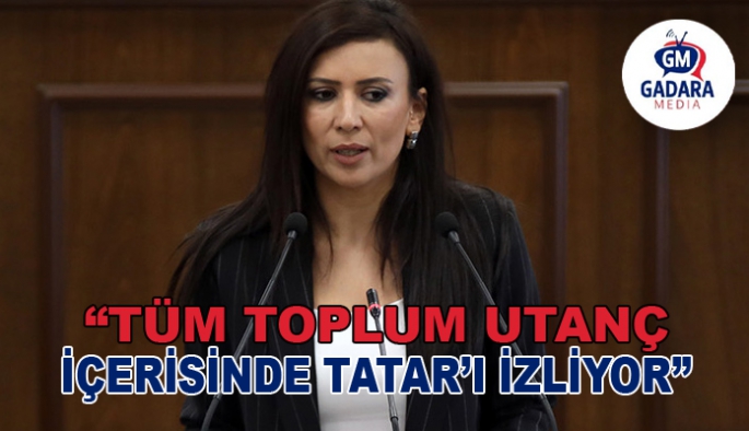 Fazilet Özdenefe: Imagine Projesi, Cumhurbaşkanı Ersin Tatar’ı neden rahatsız etti