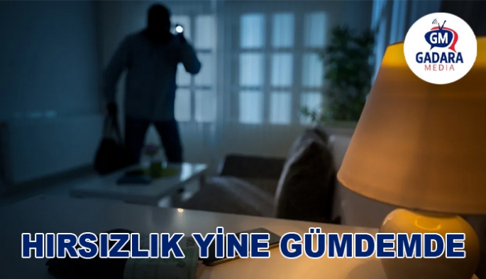 HIRSIZLIK YİNE GÜNDEMDE