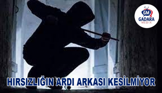 HIRSIZLIKLARIN ARDI ARKASI KESİLMİYOR