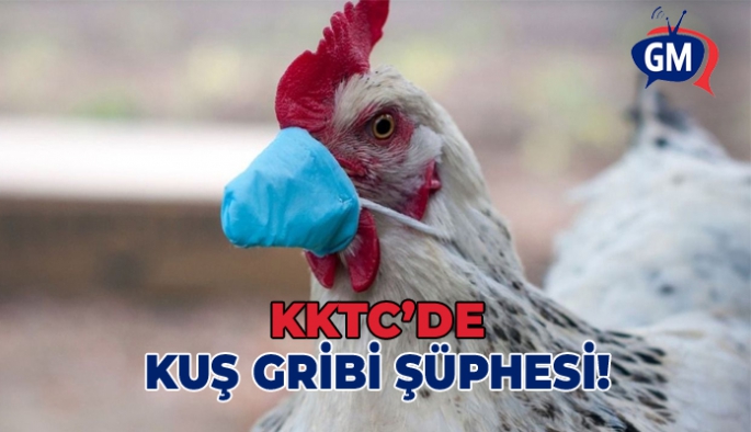 KKTC'de kuş gribi şüphesi!