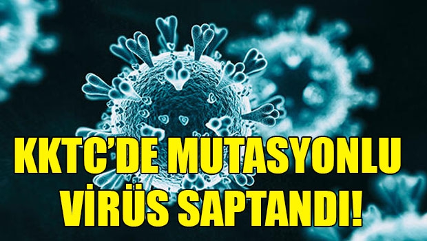 KKTC’DE MUTASYONLU VİRÜS SAPTANDI 