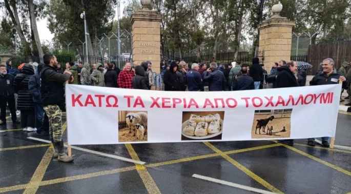 Küçükbaş hayvancılar, Rum Başkanlık Sarayı önünde protesto gerçekleştirdi