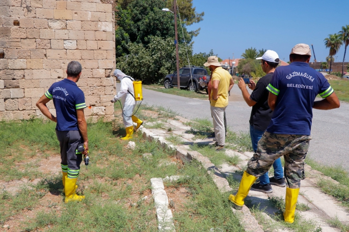  Kültür Mirası ve Suriçi Birimi, tarihi yapılarda ot temizliği konusunda eğitim verdi