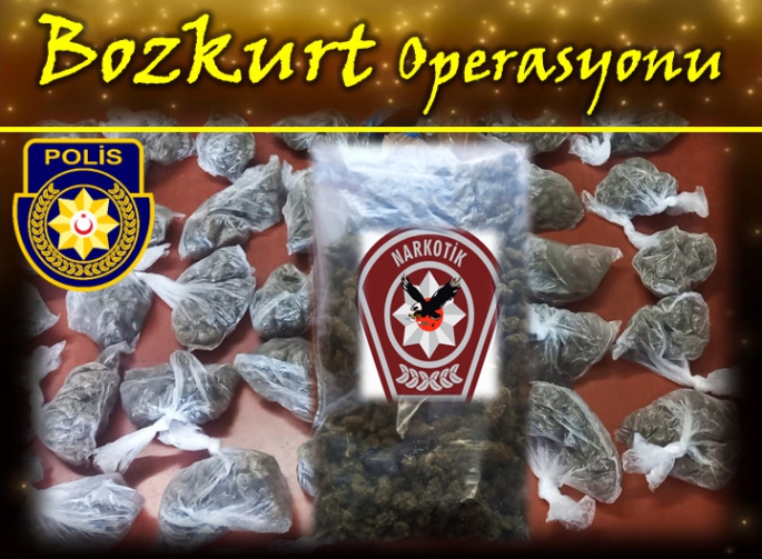 Lefkoşa’da Bozkurt Operasyonu…1 kilo 200 gram Hintkeneviri ele geçirildi