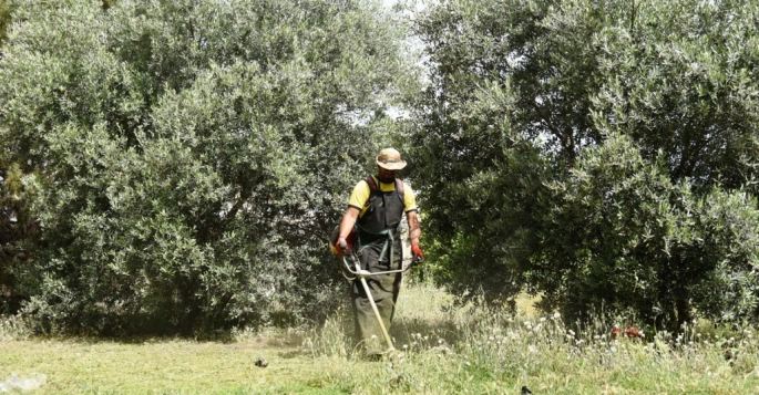 LTB’den bölgesel temizlik öncesi arsa ve arazi sahiplerine çağrı