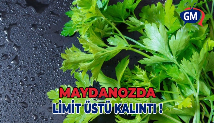 Maydanozda limit üstü kalıntı!