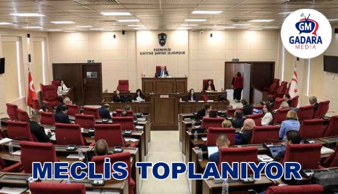 Meclis bugün denetim işleviyle toplanacak