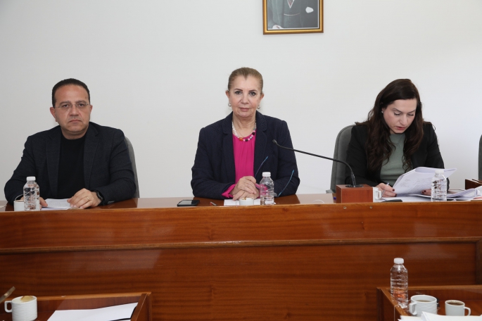 Meclis Komitesinde “Muhasebe ve Denetim Meslek Yasa Tasarısı” ele alındı