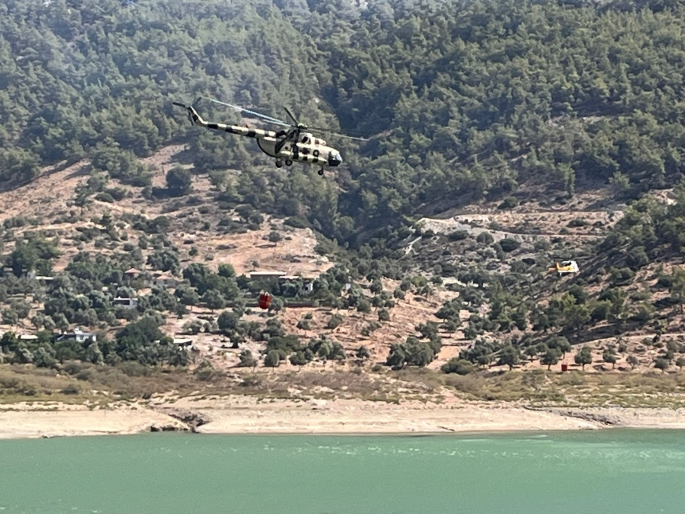  Muğla'nın Milas ilçesinde orman yangını çıktı