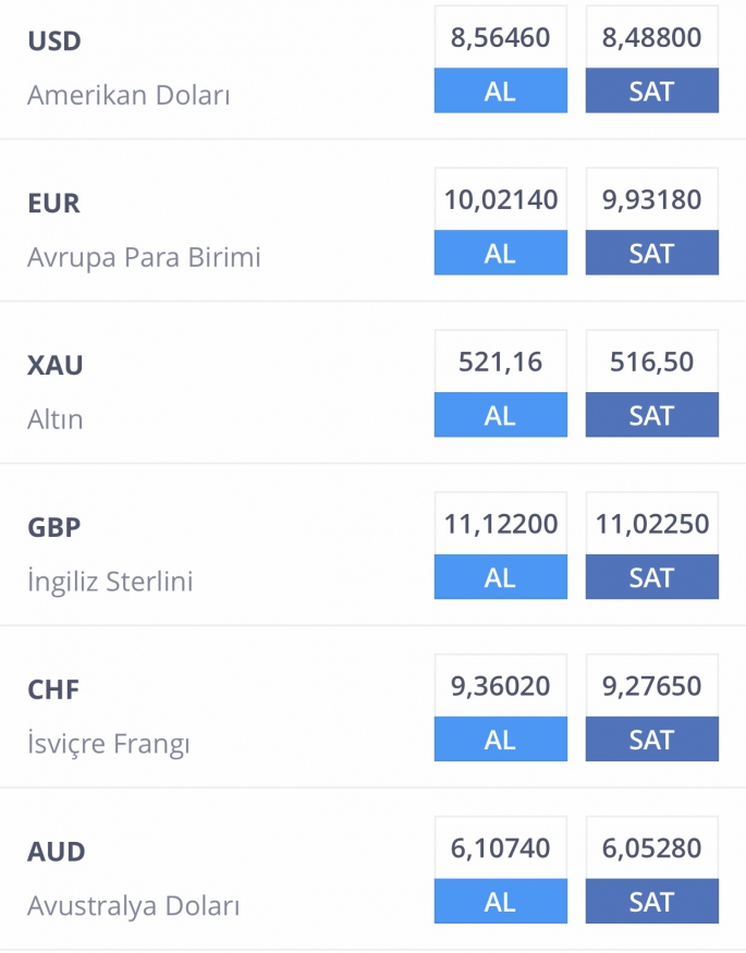 Piyasa yükselişte Euro 10.00 gördü Stg 11’i geçti 