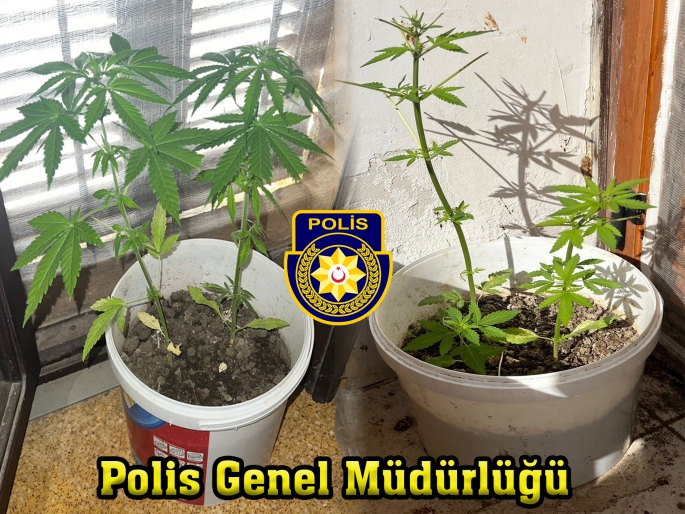  Polis haberleri… Girne ve Güzelyurt’ta uyuşturucu bulundu