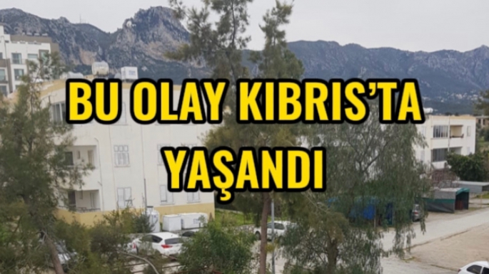 Şaka değil yau !! Elektrik kesildi apartman içindeki tüp çalındı !!!