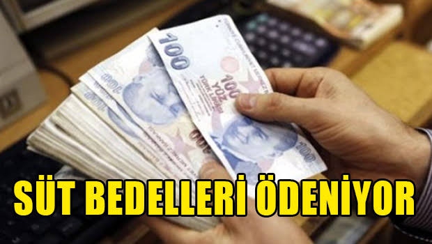 SÜT BEDELLERİ ÖDENİYOR