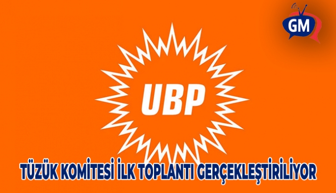 UBP'de Tüzük Komitesi ilk toplantısını gerçekleştiriyor