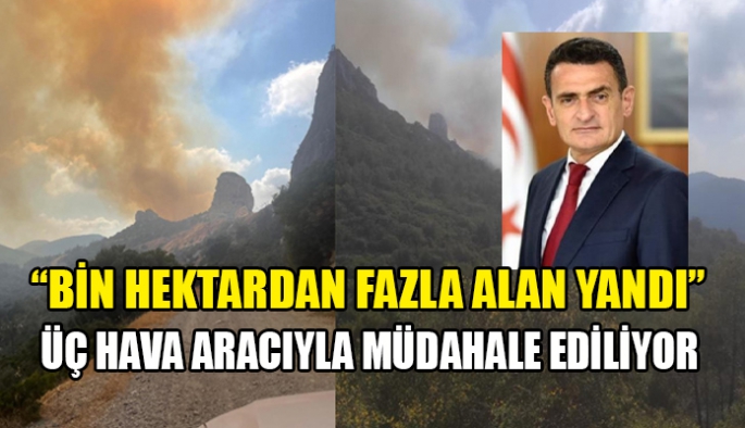 Üç hava aracıyla müdahale ediliyor