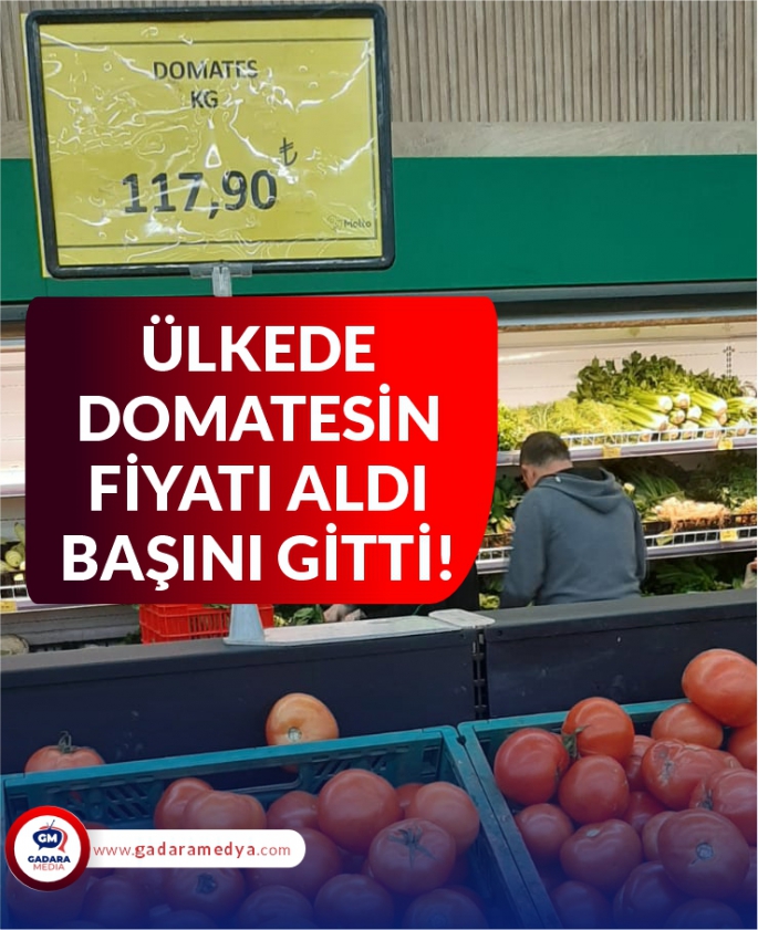 ÜLKEDE DOMATESİN FİYATI ALDI BAŞINI GİTTİ!