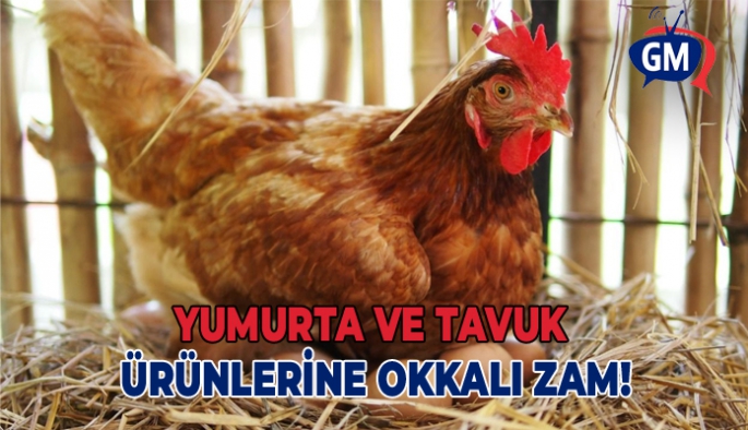 Yumurta ve tavuk ürünlerine okkalı zam!