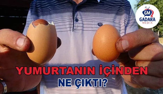 Yumurtasının içinden enteresan bir hücre çıkan vatandaş şaşkına döndü