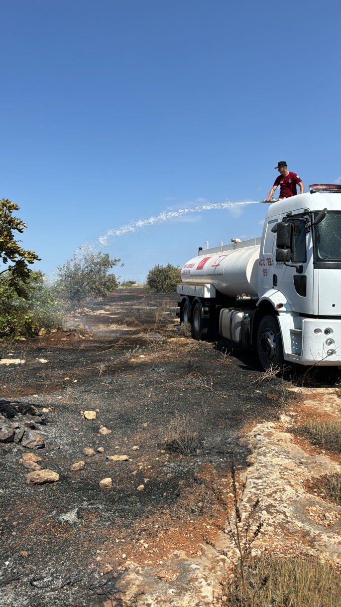   Boğaziçi'nde yangın... Ateş yakarak zarara neden olan kişi tutuklandı