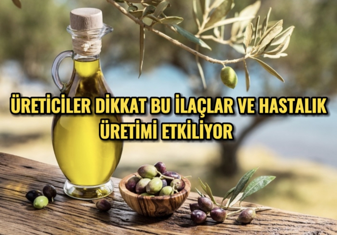 Zeytin ve Zeytinyağı Üreticilerine Duyuru