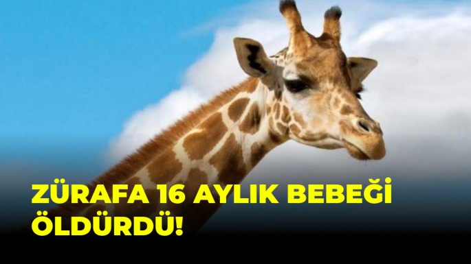 Zürafa 16 Aylık Bebeği Öldürdü